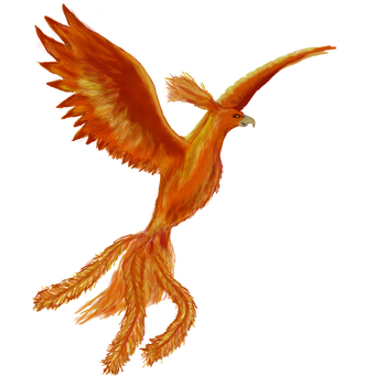 Phoenix - Rise from the ashes of your past with this beautiful bird as a companion.