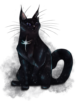 They say to come across a black cat is an ill omen, but to own one brings you luck. 
