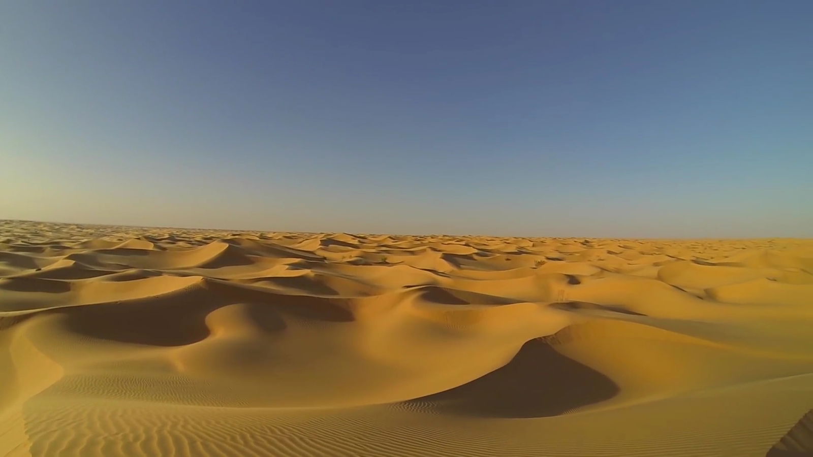 [Blog] Beautiful Biomes: The Desert