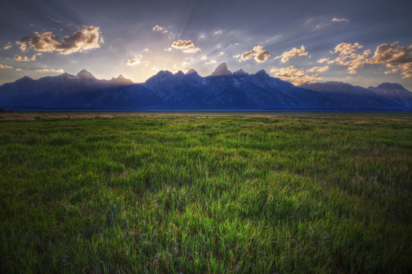 [Blog] Beautiful Biomes: The Plains