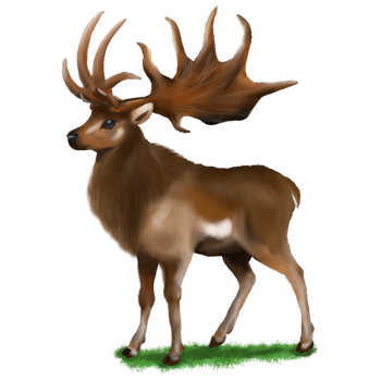 The Asmundis Deer are sacred beings, lone Protectors of Evergreen.