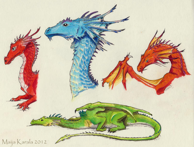[Blog] Majestic Creatures Profile: Dragon