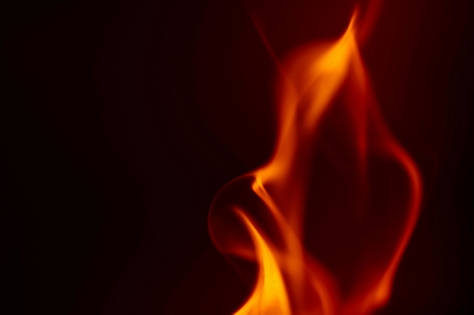 [Blog] Majestic Creatures Profile: Ifrit