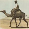 Rayiys Mutasabiq