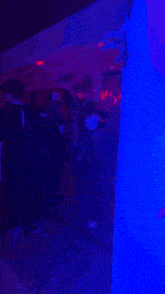 Hadley Navarro-Rylen