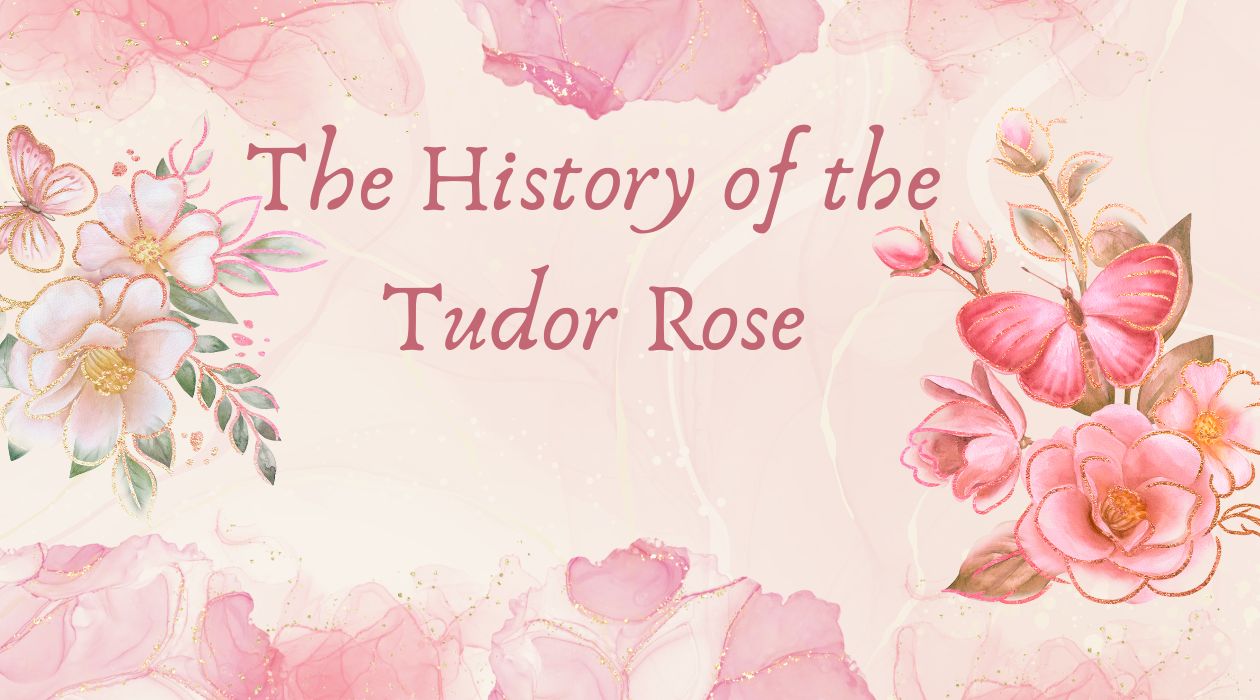 The History of the Tudor Rose.