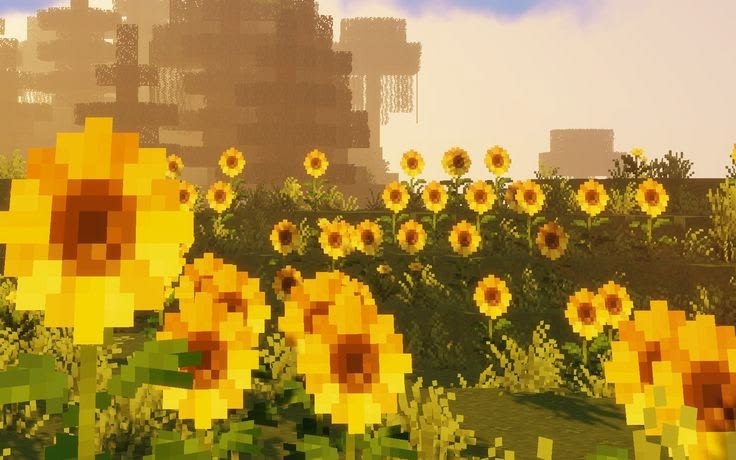 Flower of the Week