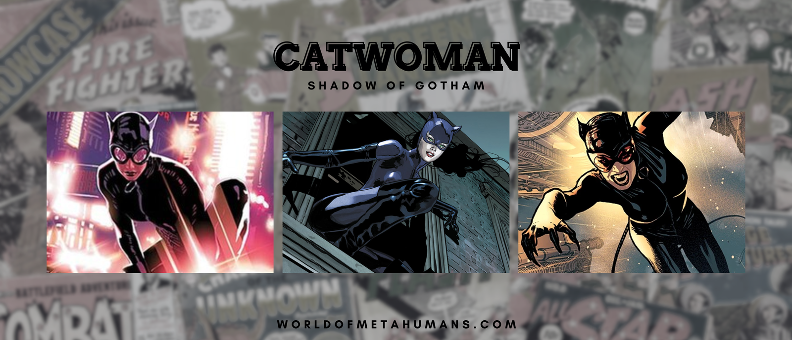 Catwoman: Shadow of Gotham