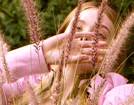 Reese Clarke