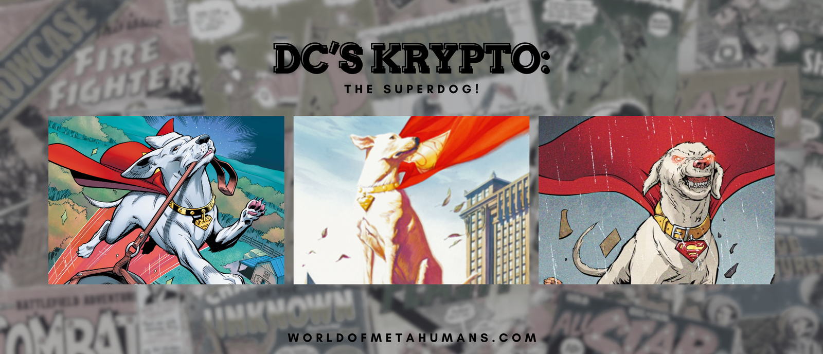 DC’s Krypto: The Superdog!