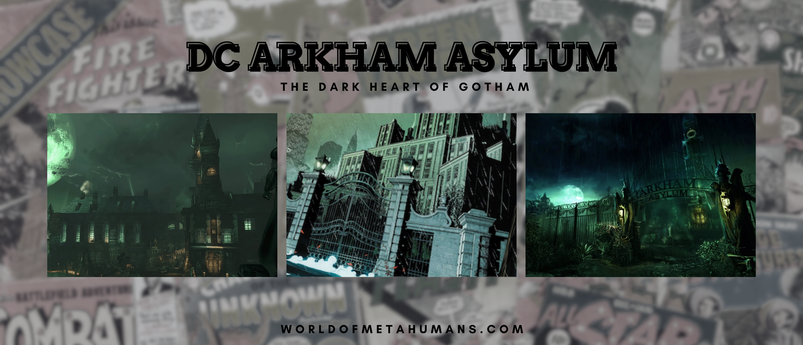 DC Arkham Asylum: The Dark Heart of Gotham