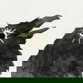 Crow XII