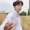 Kento Jisoo