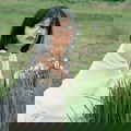 Yiu Chen