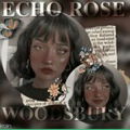 Echo Woodsbury