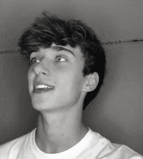 Raleaustin Fachnerstin