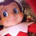 Kandice Elf