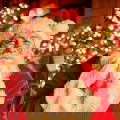 Santa Chase