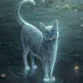 Graystripe Silverstream