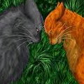 FireHeart Graystripe
