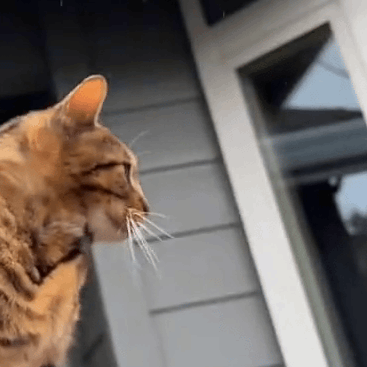 Jaime Bautista-Pérez