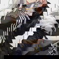 Silver Wolfe