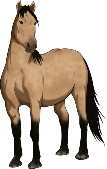 Buckskin Horse