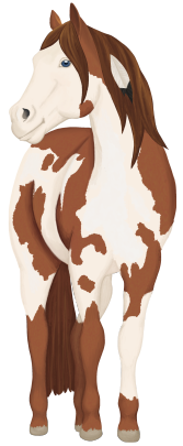 Paint Horse