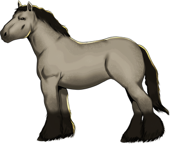 Shire Horse