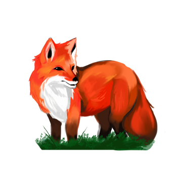 Fox