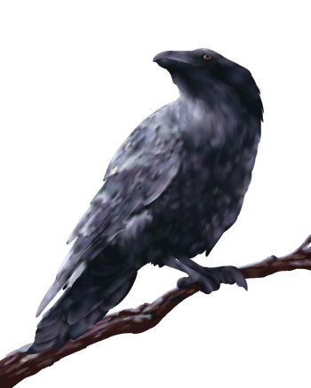 Crow